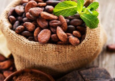 Artica tratamiento ritual refrescante cacao y menta